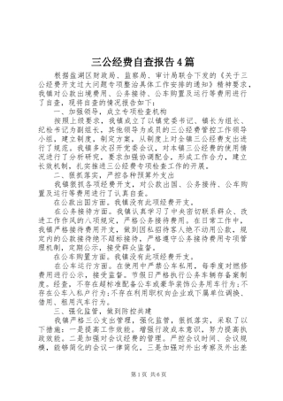 三公经费自查报告4篇