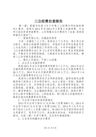 三公经费自查报告