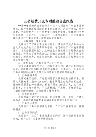 三公经费开支专项整治自查报告