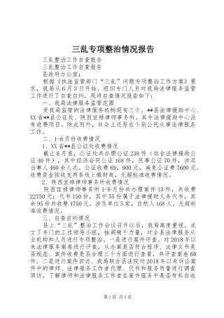 三乱专项整治情况报告_3