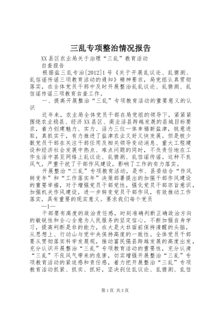三乱专项整治情况报告