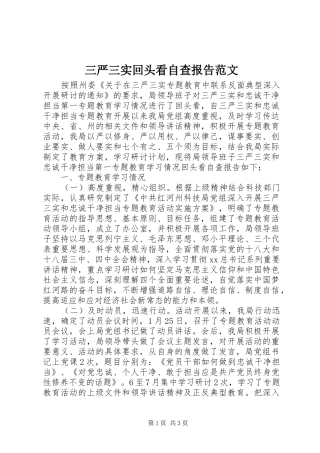 三严三实回头看自查报告范文