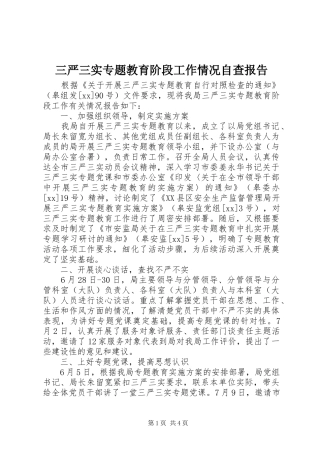 三严三实专题教育阶段工作情况自查报告