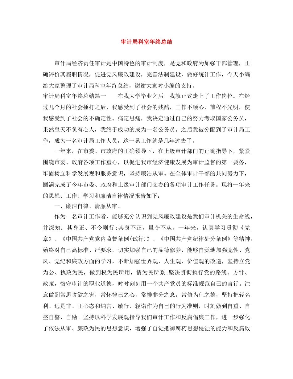 审计局科室年终总结 _第1页