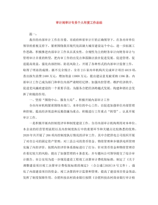 审计局审计专员个人年度工作总结 