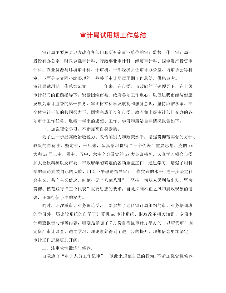 审计局试用期工作总结 _第1页
