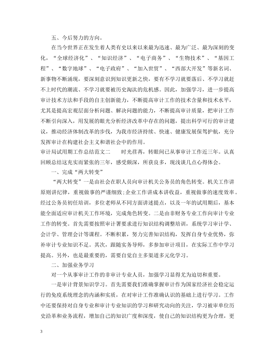 审计局试用期工作总结 _第3页