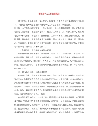 审计局个人工作总结范文 