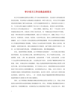 审计实习工作自我总结范文 