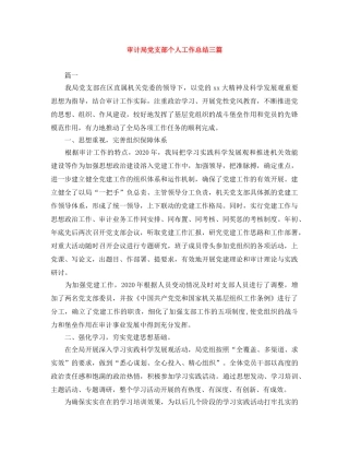 审计局党支部个人工作总结三篇 