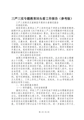 三严三实专题教育回头看工作报告（参考版）