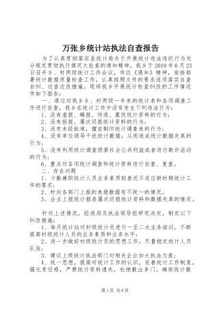 万张乡统计站执法自查报告