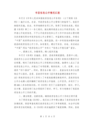 市县信息公开情况汇报