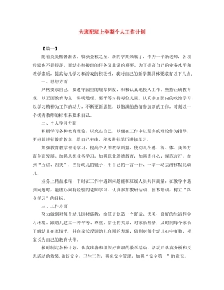 大班配班上学期个人工作计划 