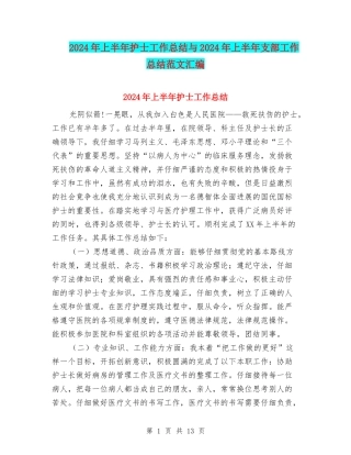 2024年上半年护士工作总结与2024年上半年支部工作总结范文汇编