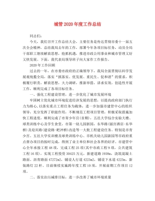 城管2020年度工作总结 