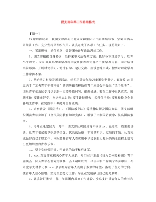 团支部年终工作总结格式 