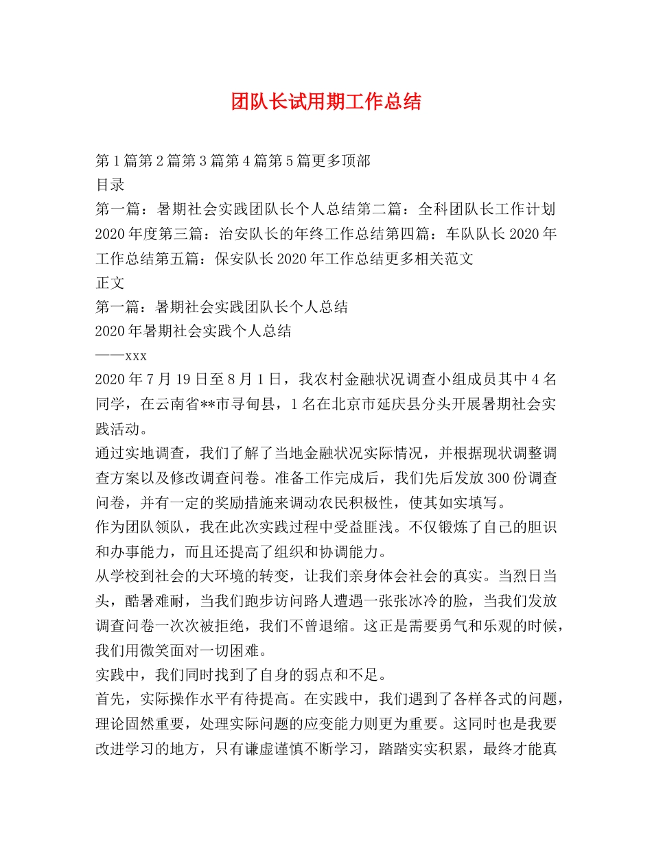 团队长试用期工作总结 _第1页