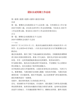 团队长试用期工作总结 