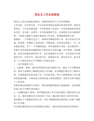 团总支工作总结新版 