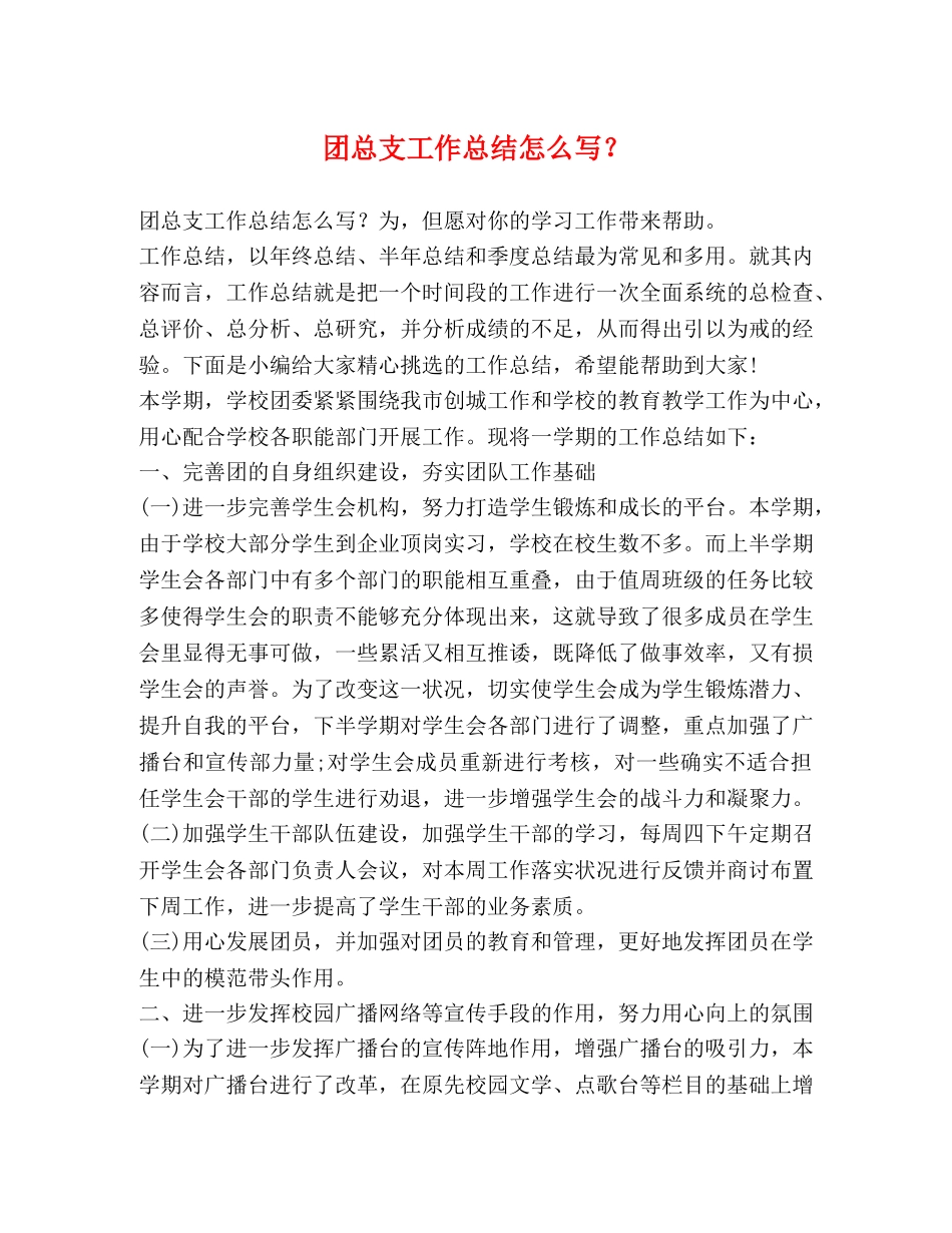 团总支工作总结怎么写？ _第1页