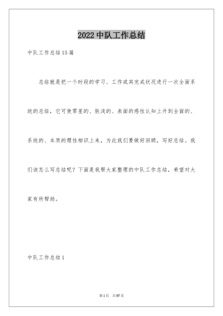 2024中队工作总结