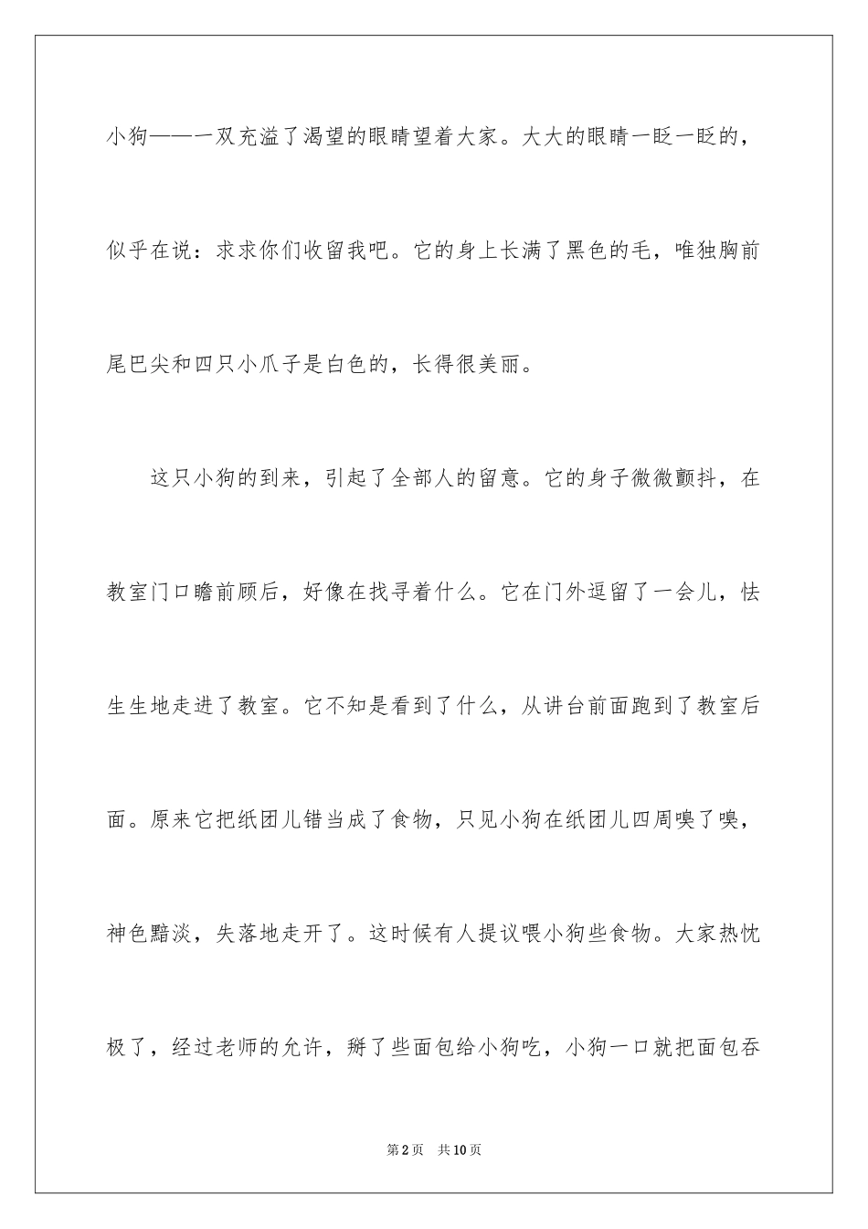 2024保护流浪狗的作文_第2页