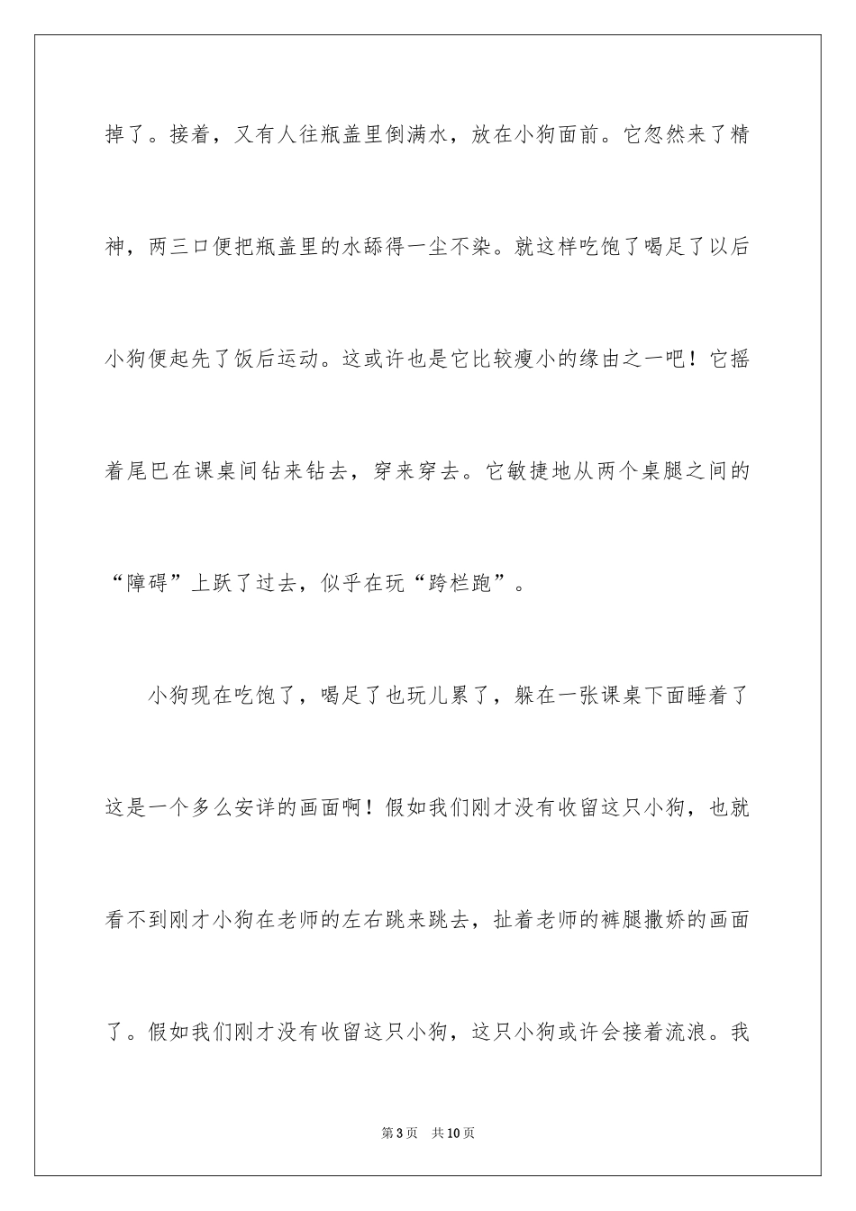 2024保护流浪狗的作文_第3页