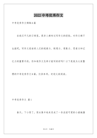 2024中考优秀作文_10