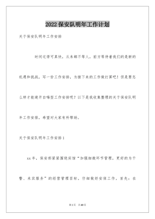 2024保安队明年工作计划