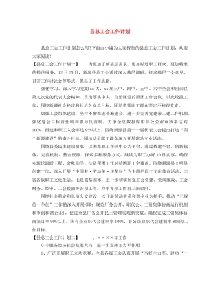 县总工会工作计划 