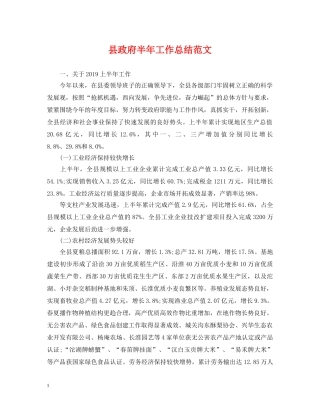 县政府半年工作总结范文 