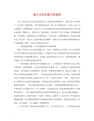 县人大办公室工作总结 