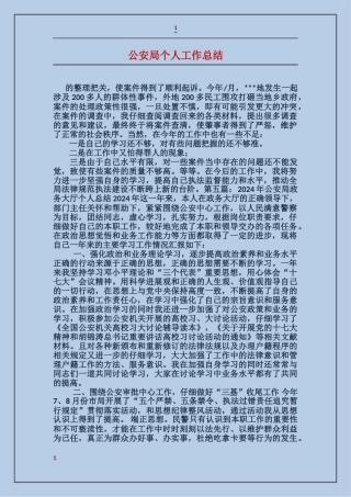 公安局个人工作总结