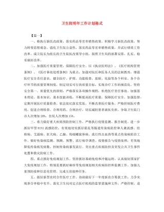 卫生院明年工作计划格式 