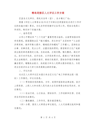 迎接区人大评议工作方案