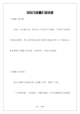 2024《皮囊》读后感_4