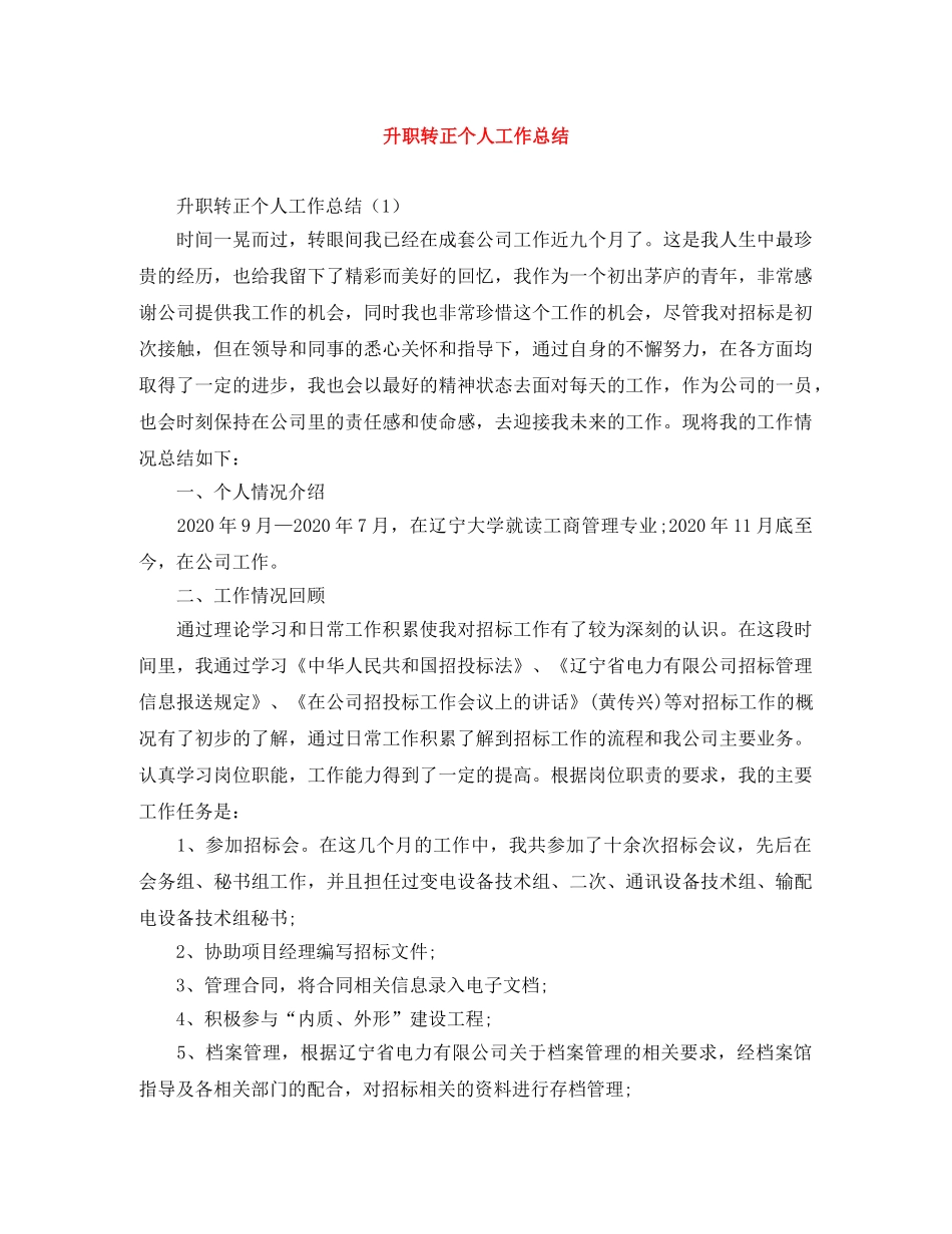 升职转正个人工作总结 _第1页