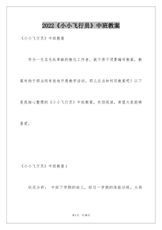 2024《小小飞行员》中班教案