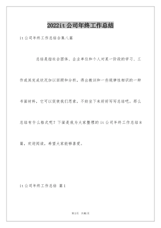 2024it公司年终工作总结_4