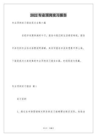 2024专业顶岗实习报告_5