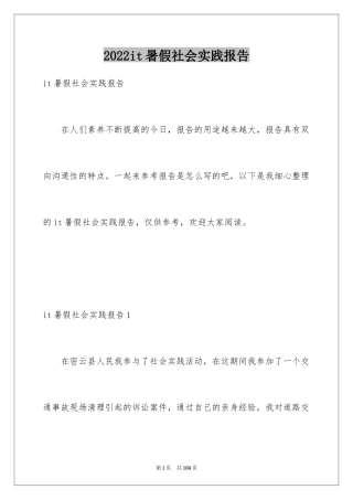 2024it暑假社会实践报告_1