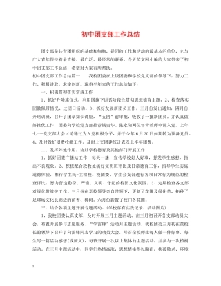 初中团支部工作总结 