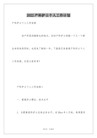 2024产科护士个人工作计划