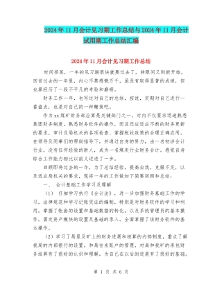 2024年11月会计见习期工作总结与2024年11月会计试用期工作总结汇编