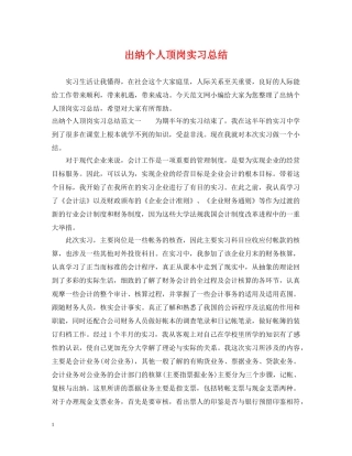 出纳个人顶岗实习总结 