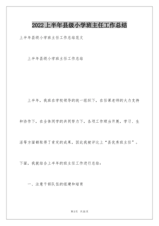 2024上半年县级小学班主任工作总结