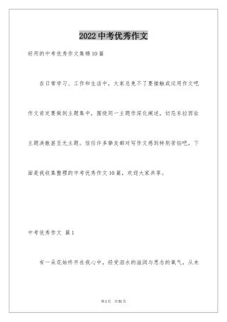 2024中考优秀作文_284