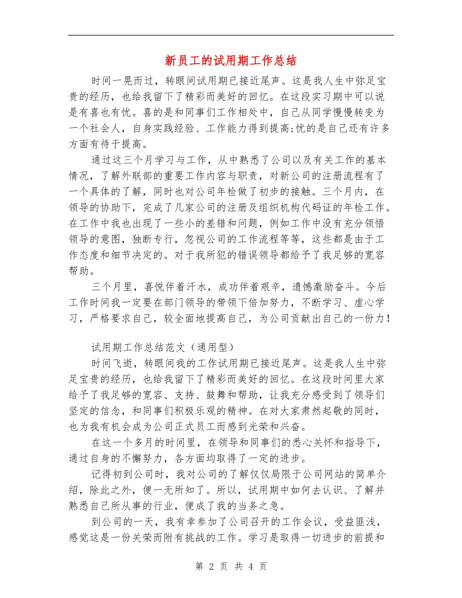 新员工的试用期工作总结_第2页