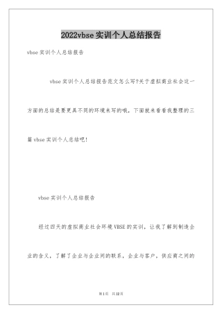 2024vbse实训个人总结报告